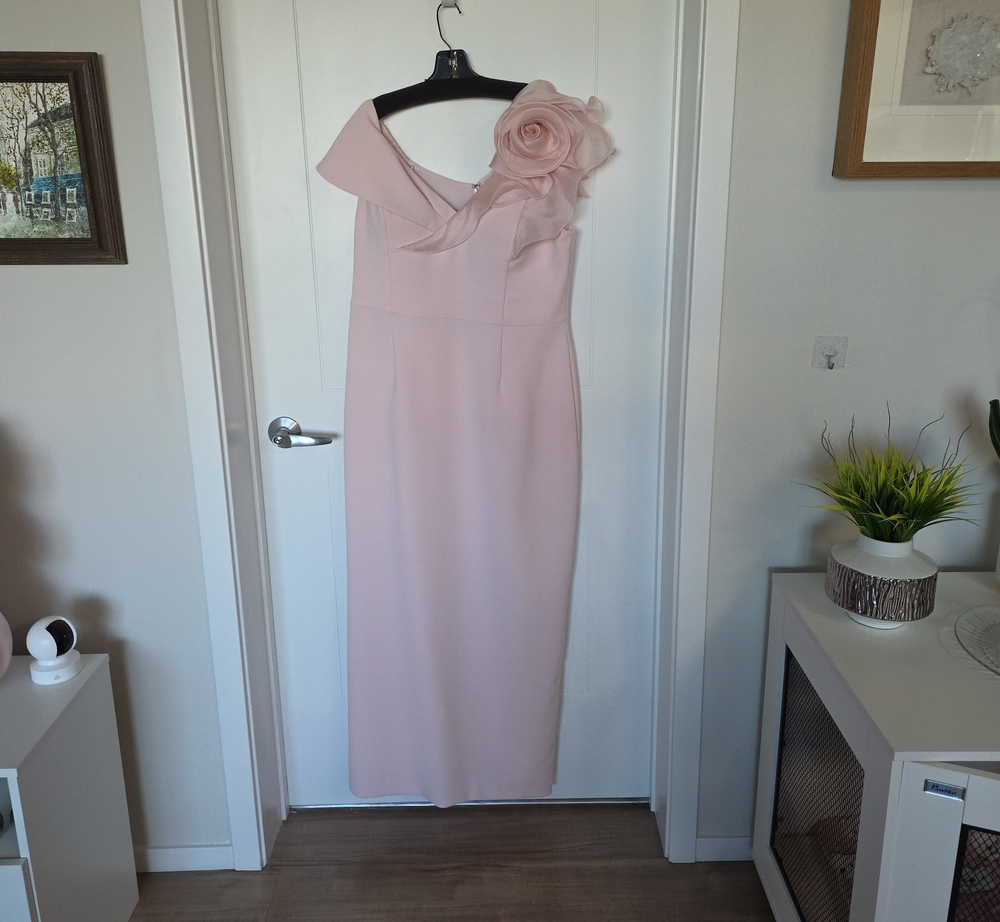 Teri Jon Blush One-Shoulder Rose Applique Gown